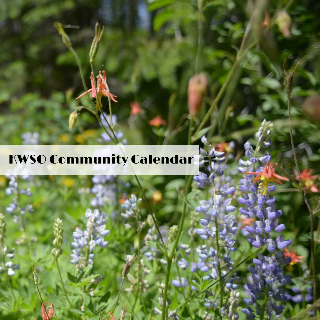 KWSO Calendar for Tue., Jun. 16, 2026