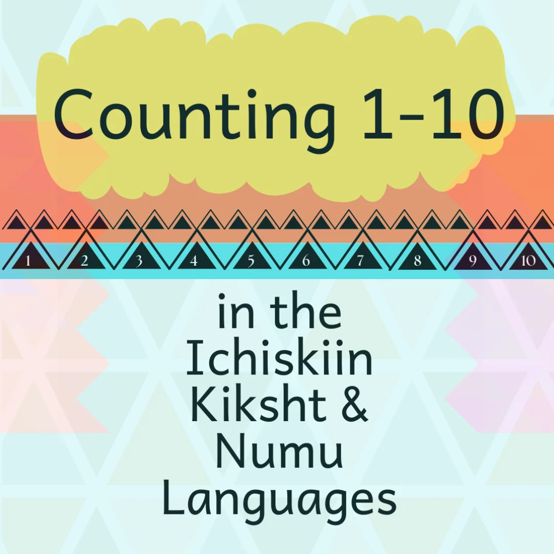 KWSO Counting Book