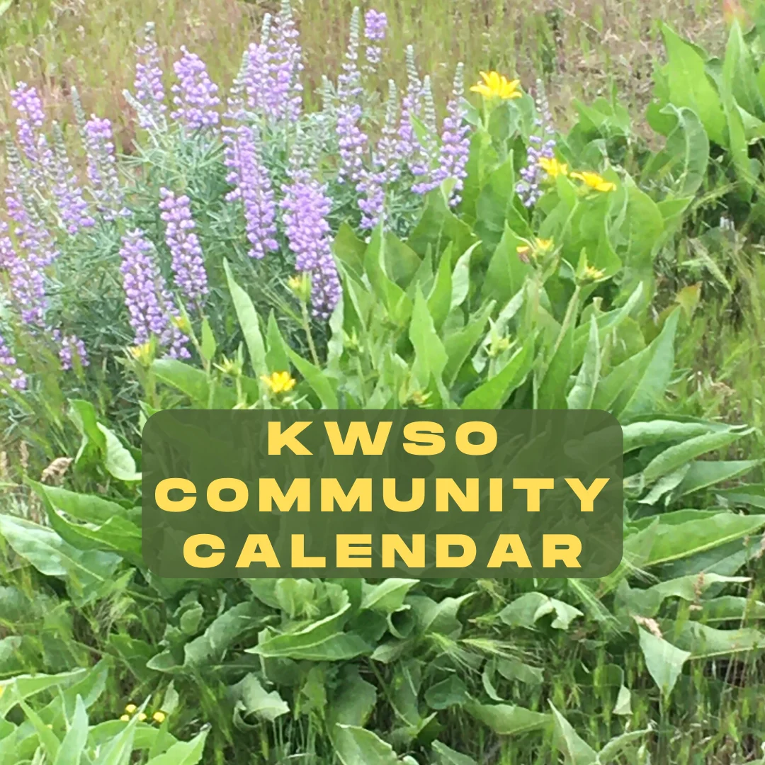 KWSO Calendar for Mon., Jul. 27, 2026