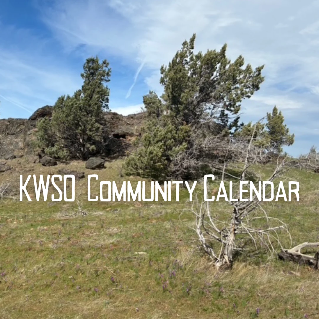 KWSO Calendar for Fri., Apr. 24, 2026