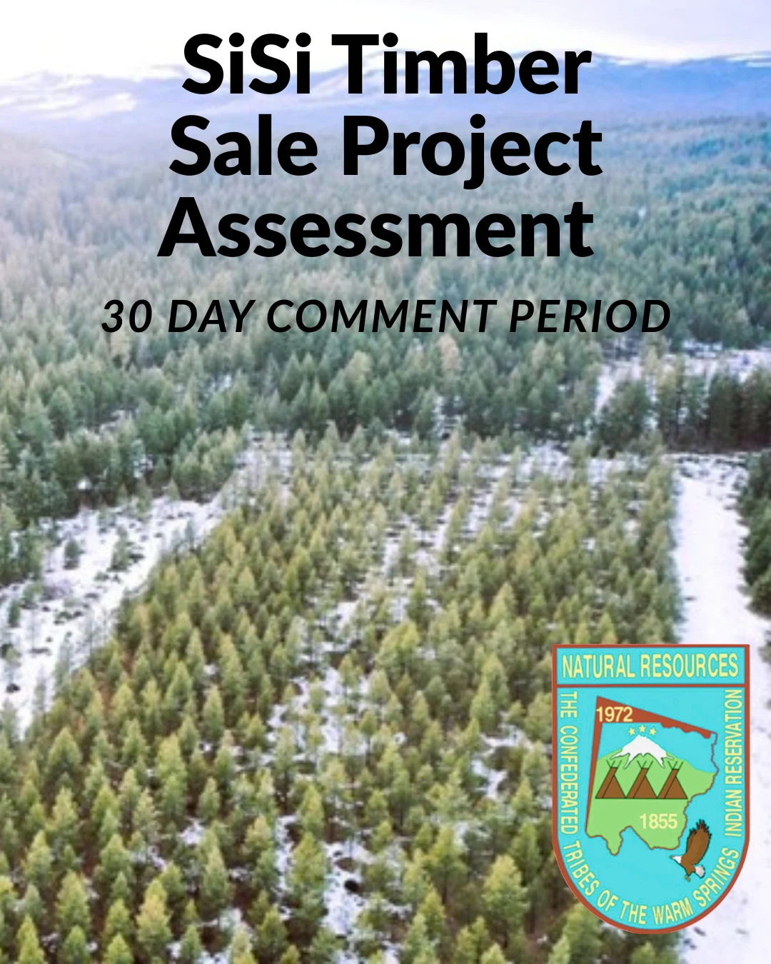 SiSi Timber Sale Project Assessment 30-Day Comment Period