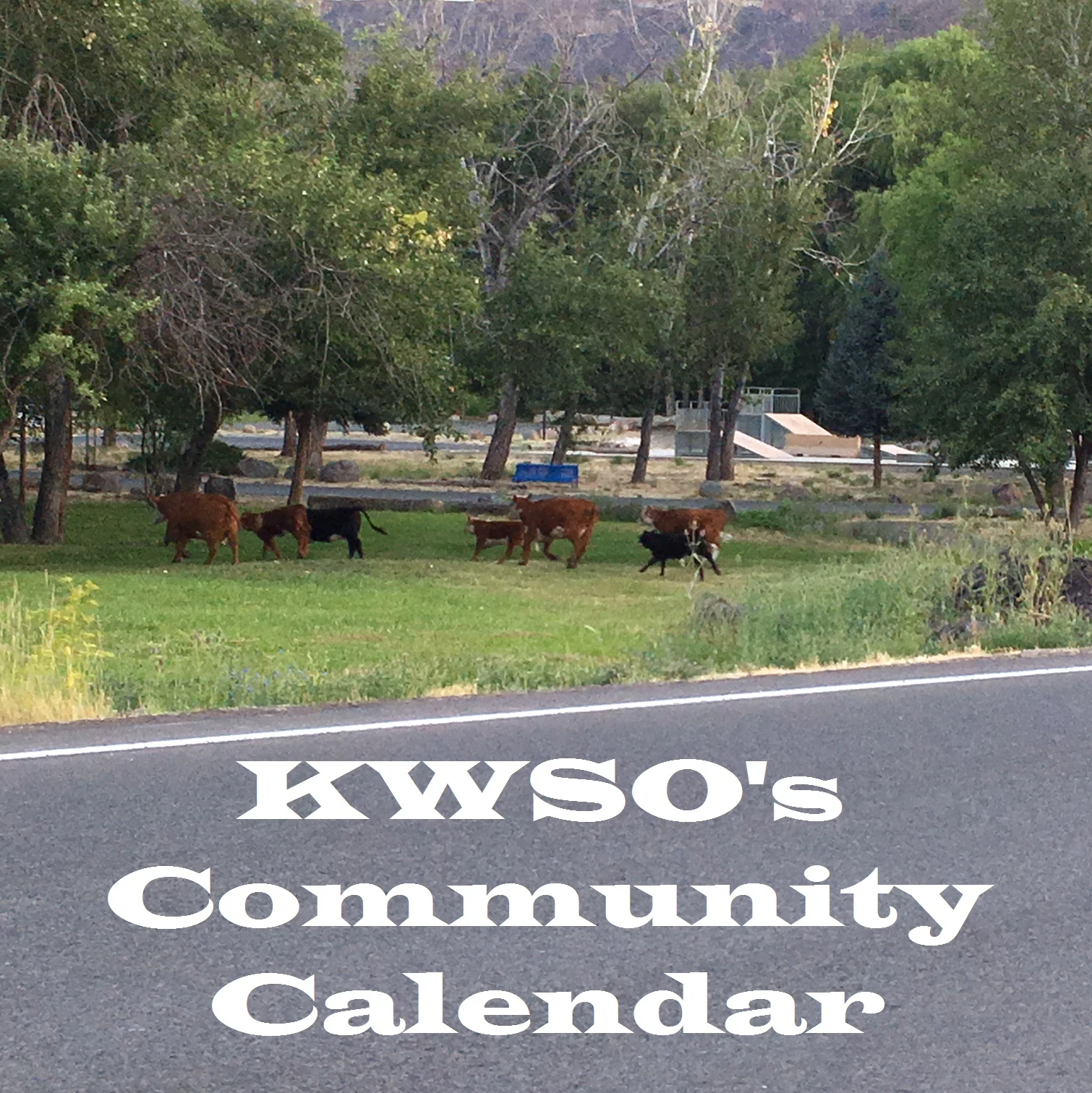 KWSO Calendar for Wed., Jun. 17, 2026