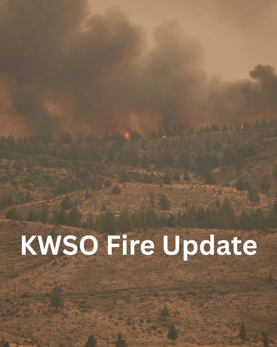 Bench Fire Reaches 40,296 Acres After Merging with Beachcomb Fire