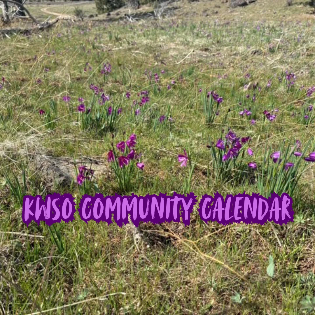 KWSO Calendar for Sat., Apr. 4, 2026