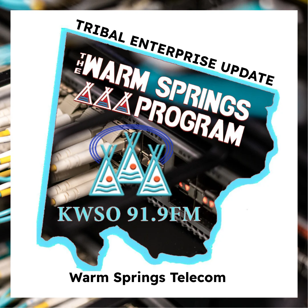 Warm Springs Telecom