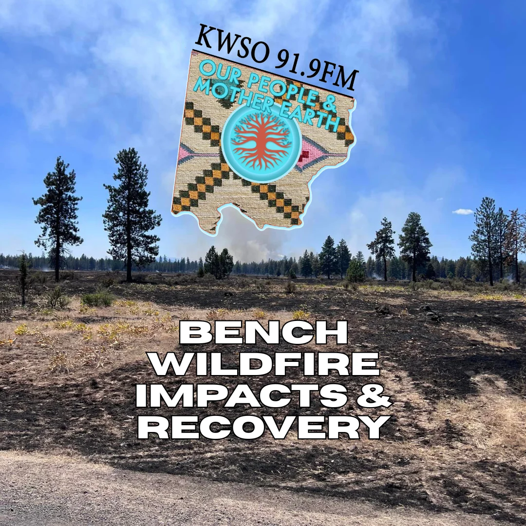 Bench Wildfire Natural Resource Impacts & Recovery – Austin Smith Jr. CTWS BNR GM