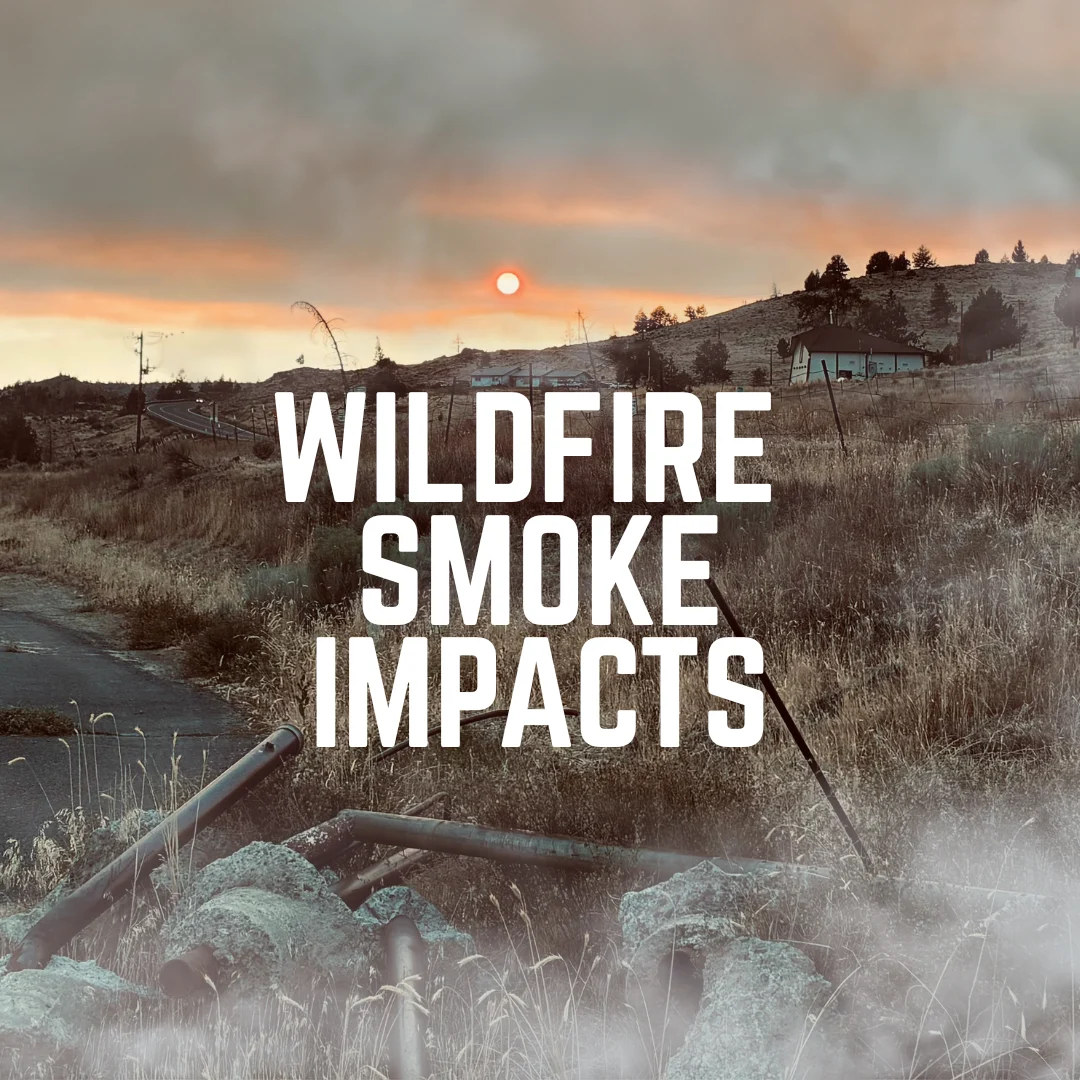 Wildfire Smoke