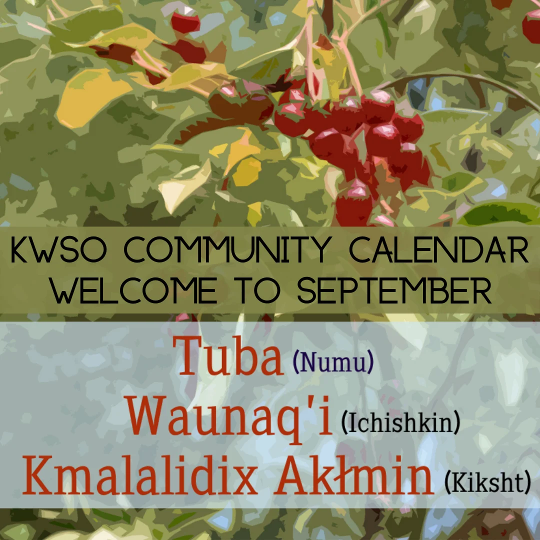 KWSO Calendar for Tue., Sep. 1, 2026