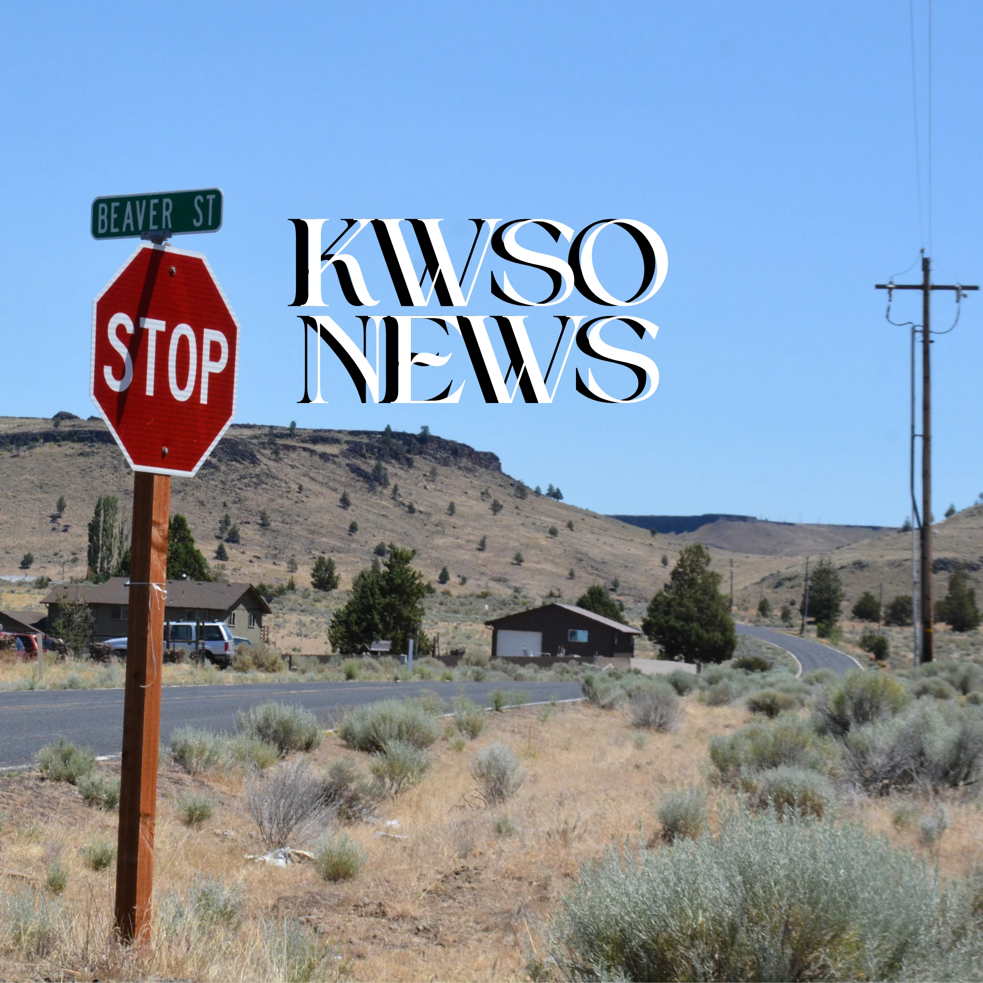 News This Week