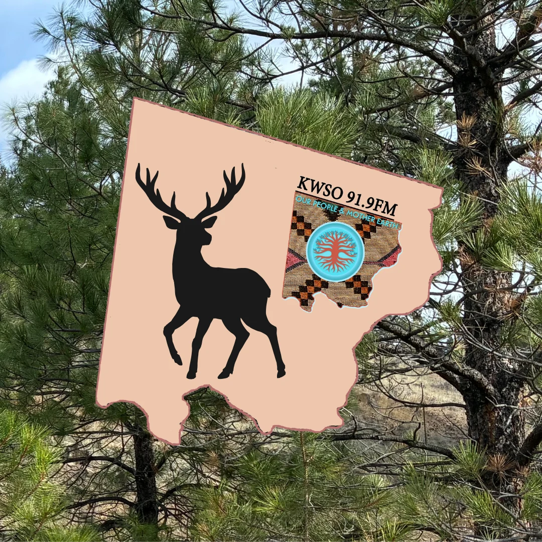 CTWS Hunting Reminders