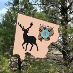 CTWS Hunting Reminders