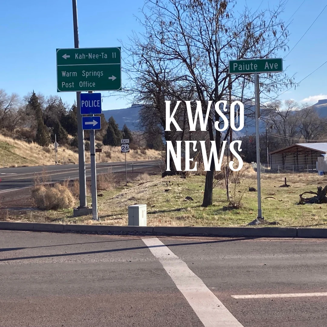 Warm Springs Softball and Baseball All‑Stars Head to District Competition