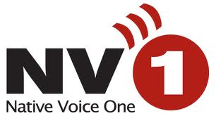 nv1-logo